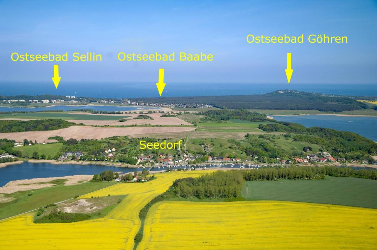 Ostseebad Sellin - Ot Seedorf Appartement Mit Seeblick Exteriör bild